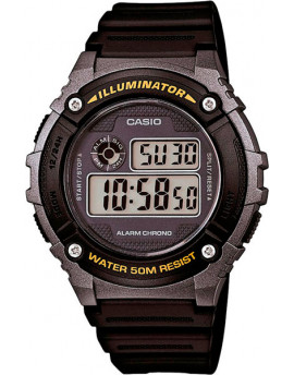 CA W-216H-1B