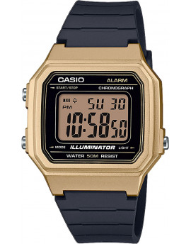 CA W-217HM-9A