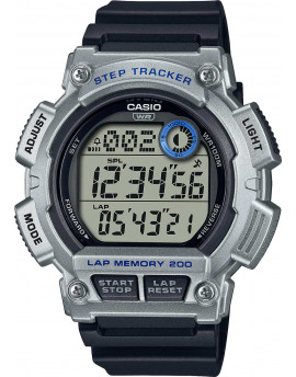 CA WS-2100H-1A2