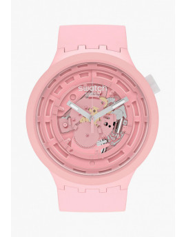 SW SB03P100